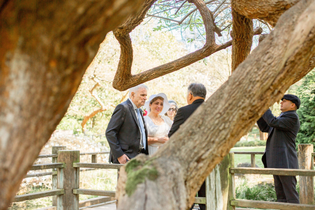 Photo of the beautiful elopement of Charlie and Rebecca in San Francisco Botanical Garden's MoonView Garden Shannon Alyse Photography Elopement Photos Bay Area