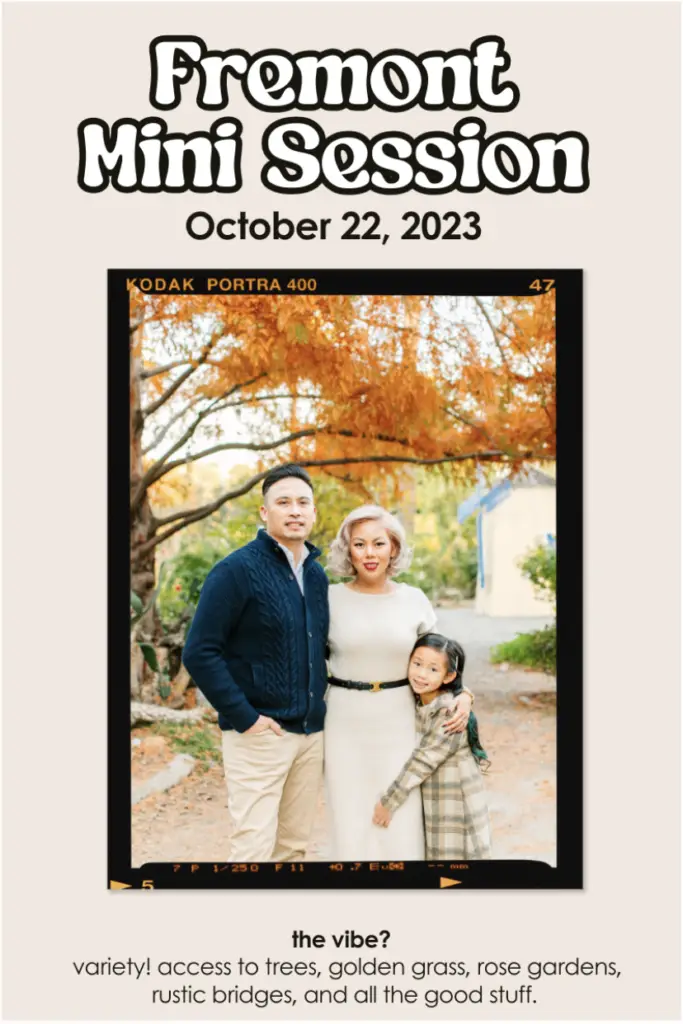 Bay Area Lifestyle Photography Fall 2023 Mini Sessions